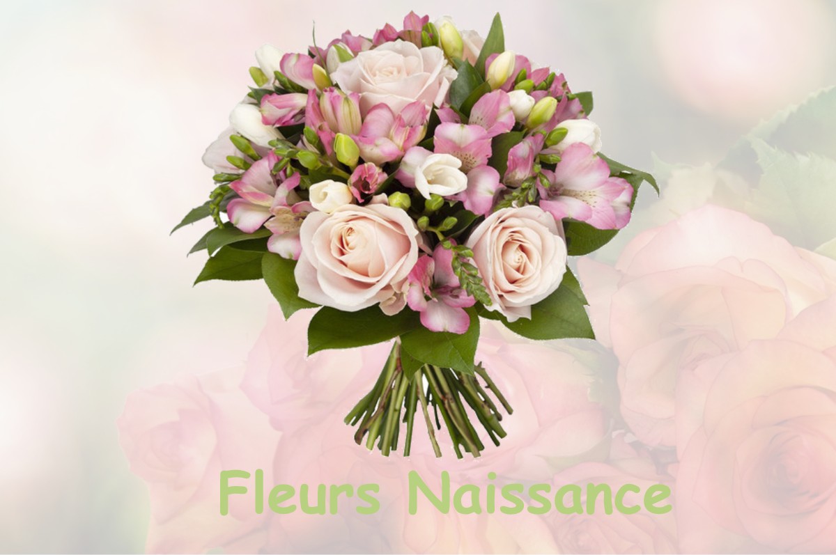 fleurs naissance SAINTE-FOI