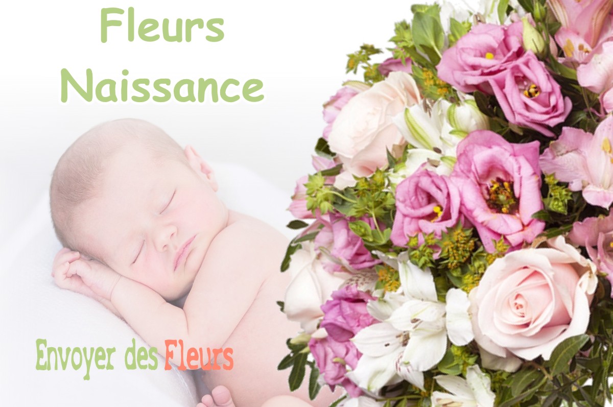 lIVRAISON FLEURS NAISSANCE à SAINTE-FOI